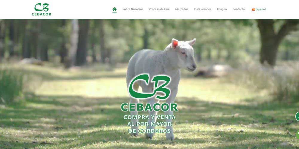 foto de portada web Cebacor